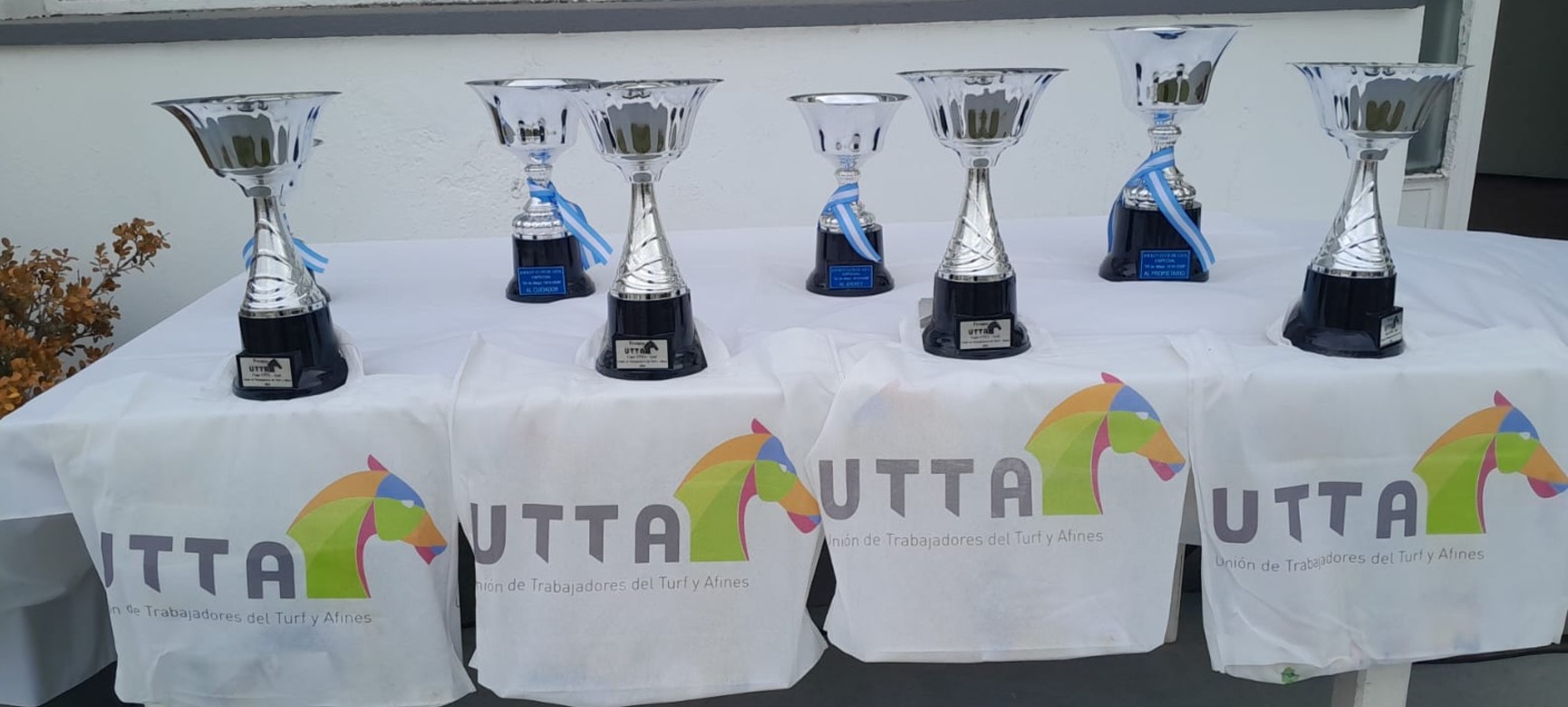 Azul, Tucum�n y Mendoza, al comp�s de la UTTA